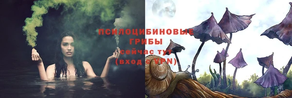 ГАЛЛЮЦИНОГЕННЫЕ ГРИБЫ Каменск-Шахтинский