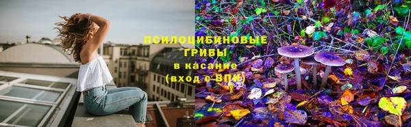 ГАЛЛЮЦИНОГЕННЫЕ ГРИБЫ Каменск-Шахтинский