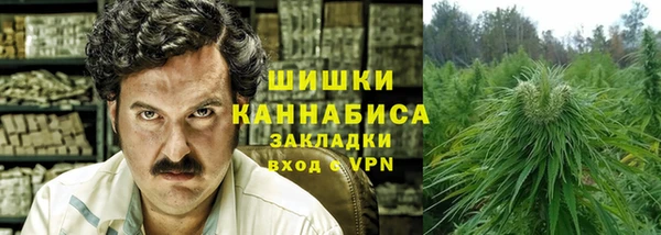 молекула духа Карпинск