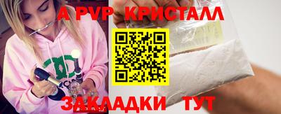 шишки Аргун
