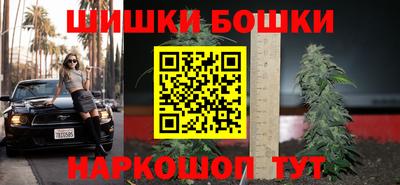 шишки Аргун