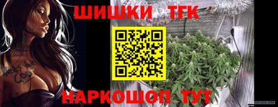 шишки Аргун