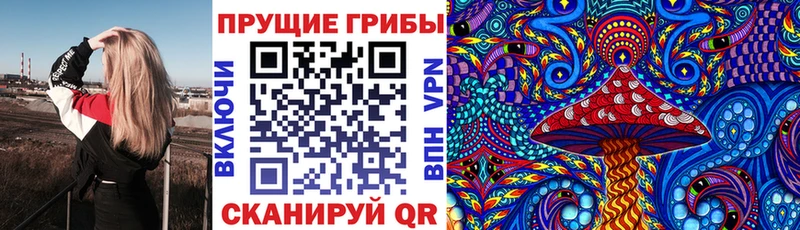 OMG зеркало  Кингисепп  Псилоцибиновые грибы Magic Shrooms 