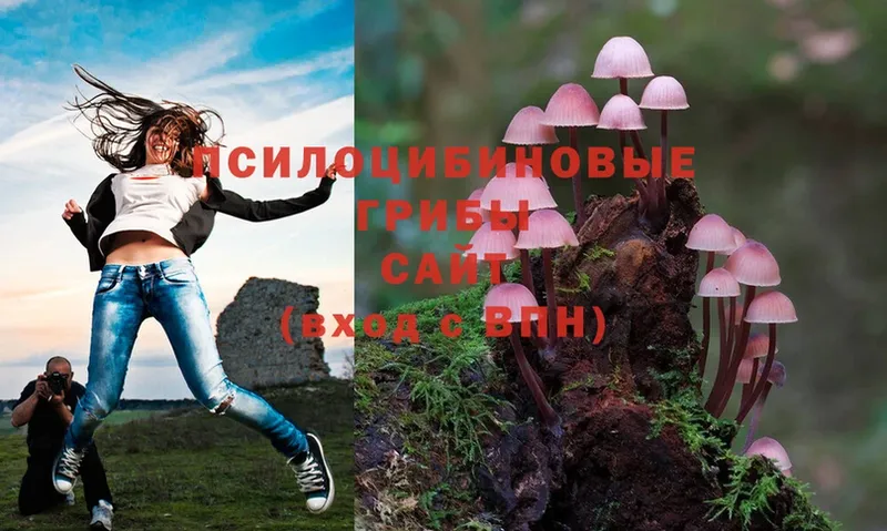 ОМГ ОМГ вход  Кингисепп  Галлюциногенные грибы MAGIC MUSHROOMS 