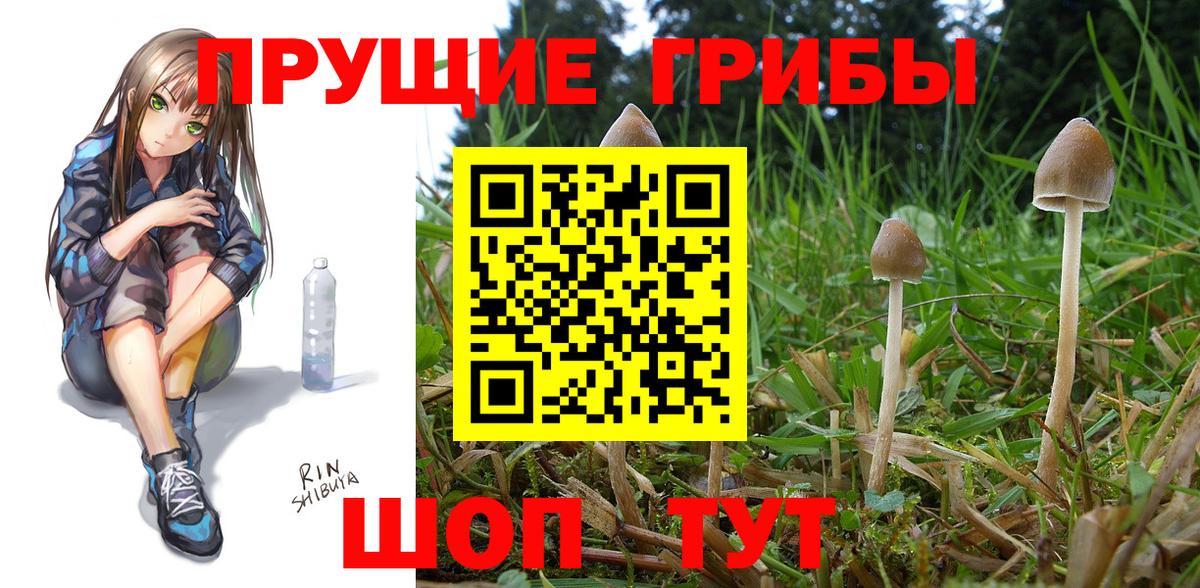Псилоцибиновые грибы ЛСД Кингисепп