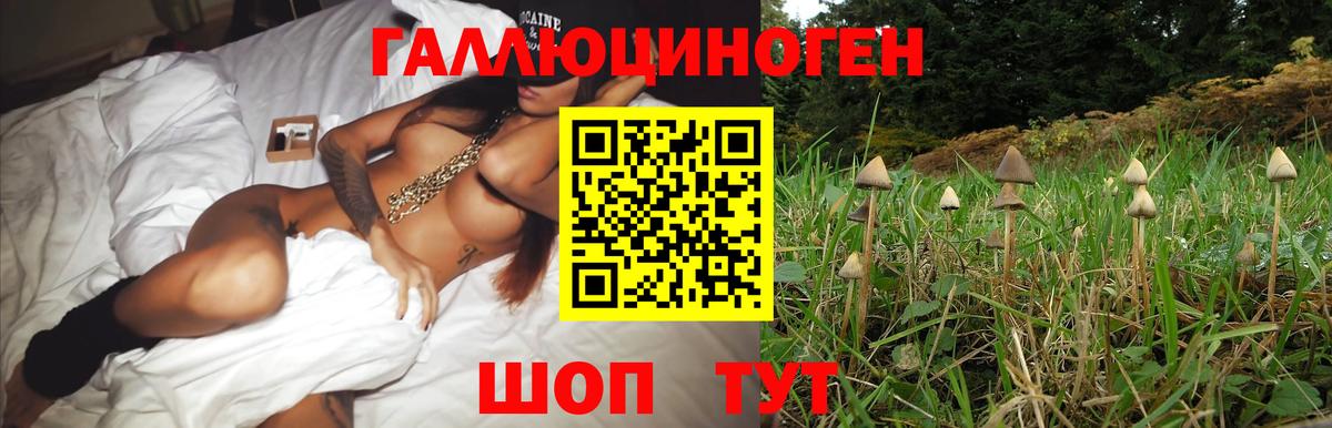 Галлюциногенные грибы ЛСД  Вход с VPN  Галлюциногенные грибы мухоморы  Кингисепп 